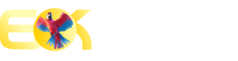 6z zone - 9999bet
